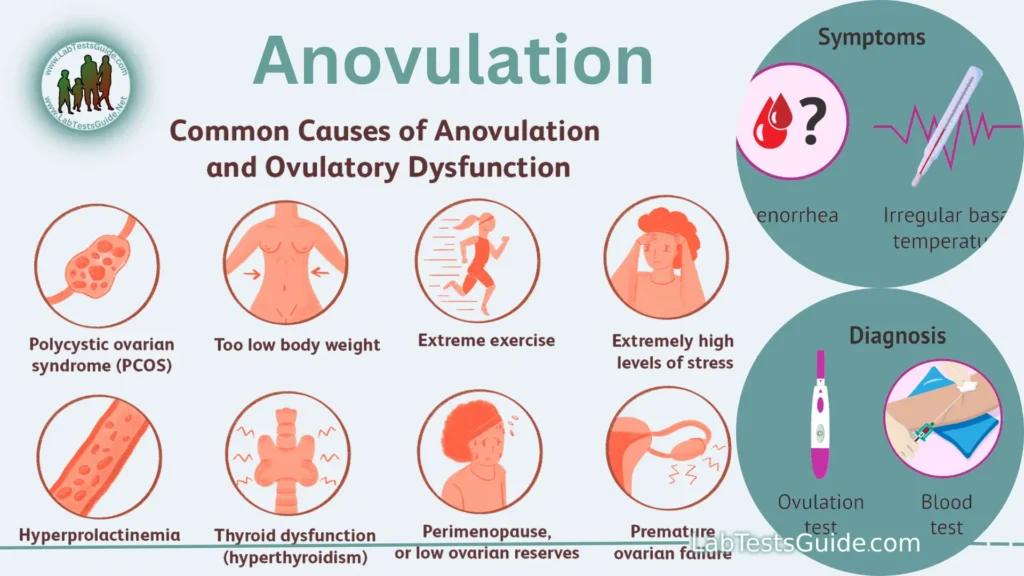 Anovulation is a medical term that refers to the absence of ovulation, which is the release of a mature egg from one of the ovaries.