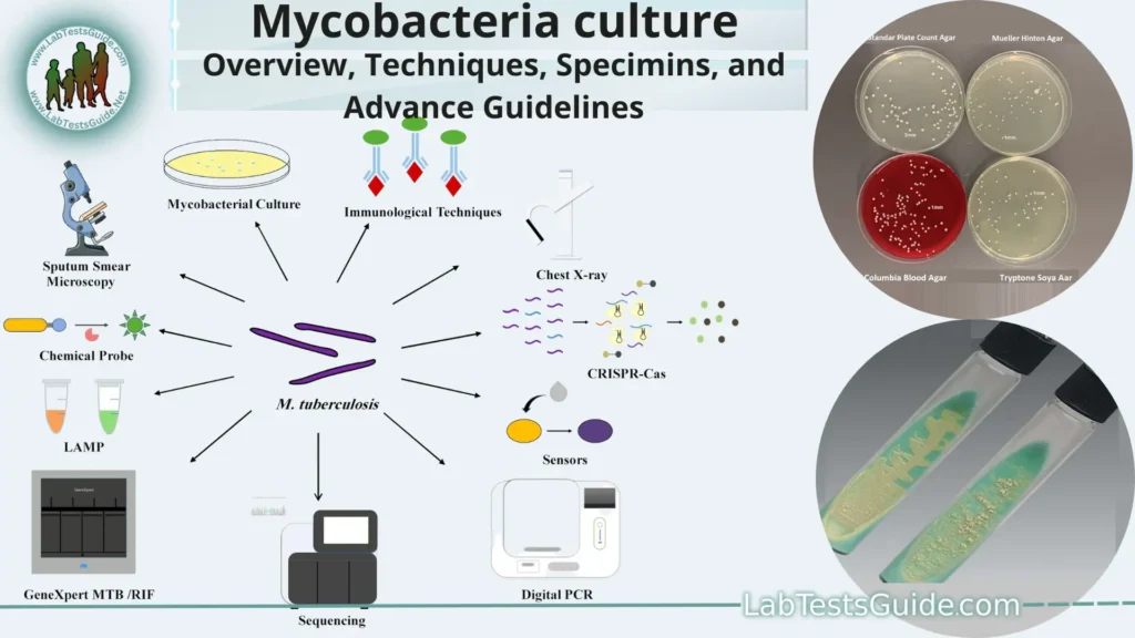 Mycobacteria culture