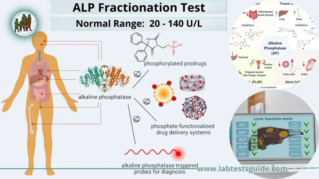 ALP Fractionation Test