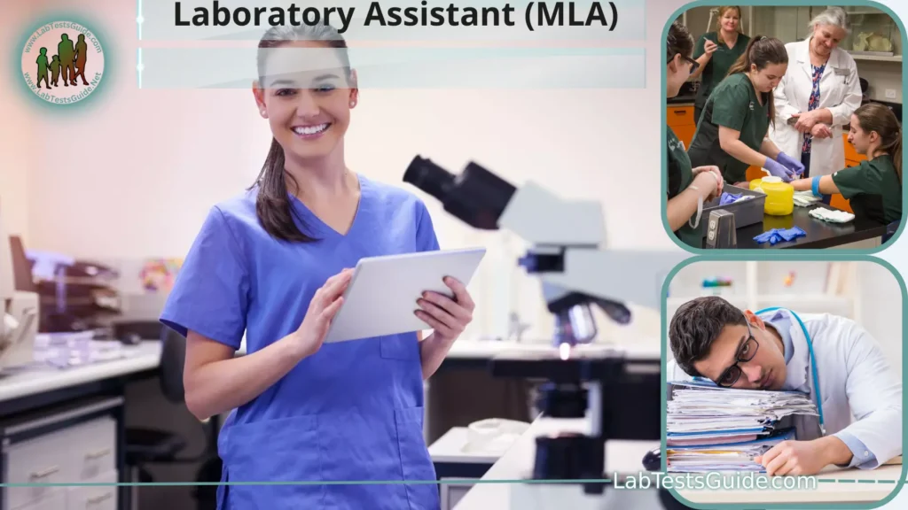 Laboratory Assistant (MLA)