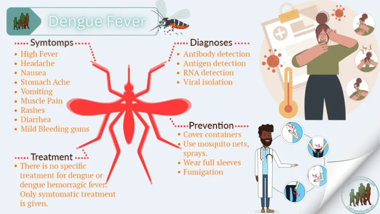 Dengue Fever