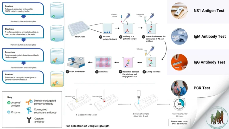 Dengue Test Procedure