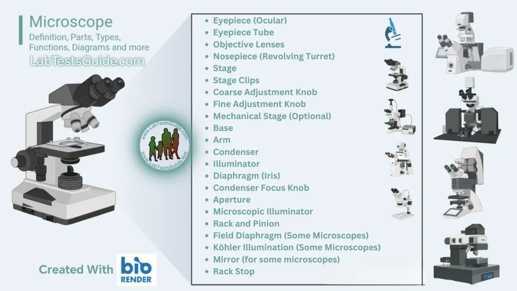 Microscope Explore the world of microscopy with information on microscope types, labeled diagrams, and detailed insights into the parts of a microscope. From the basics to advanced techniques like scanning probe microscopy, discover the diverse applications of microscopes in scientific research.