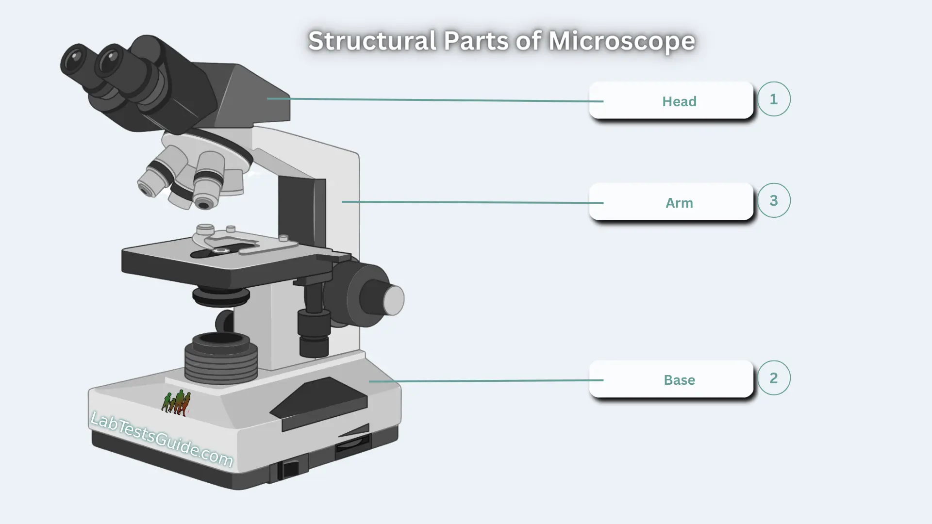 Structural parts Structural Parts of Microscope