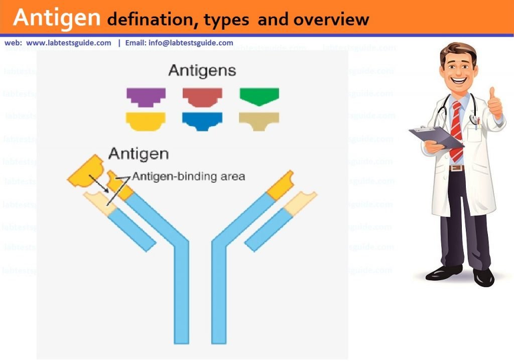 Antigen