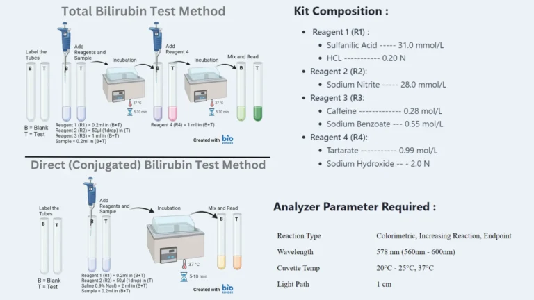 Bilirubin Test Procedure