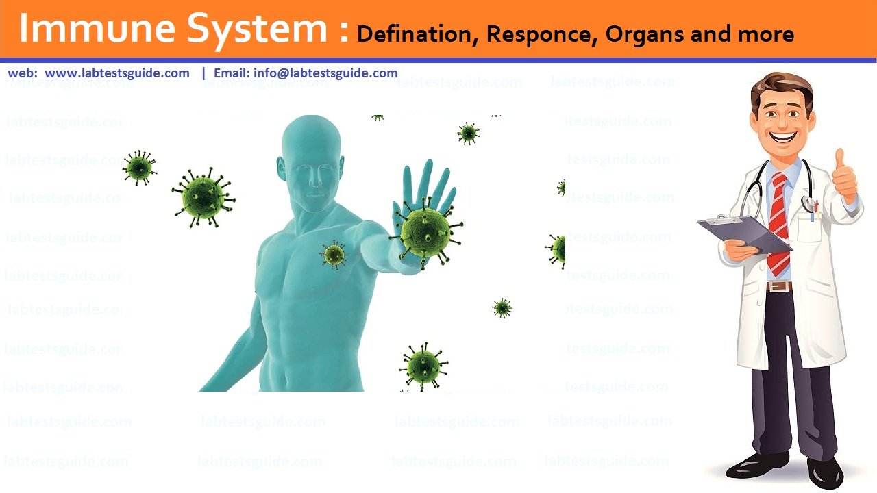 Immune System