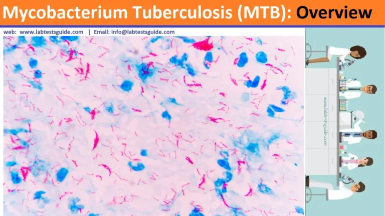 Mycobacterium Tuberculosis (MTB)