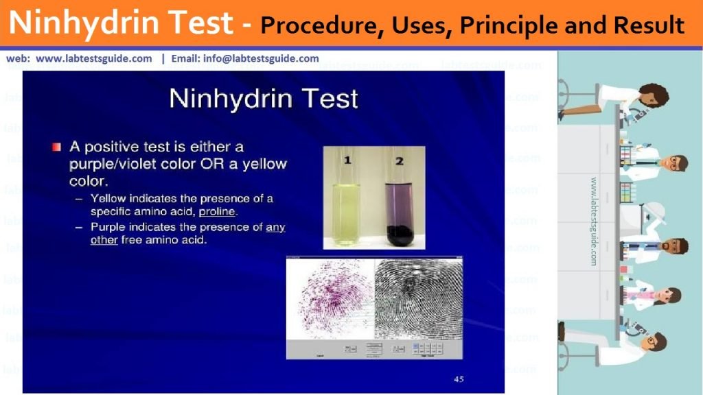 Ninhydrin Test Ninhydrin Test