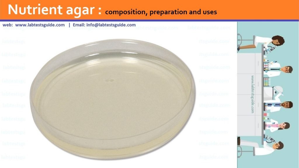 Nutrient agar Nutrient Agar