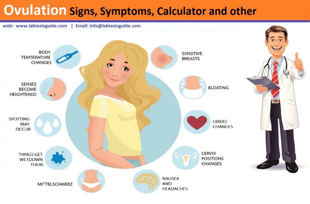 Ovulation Signs Symptoms Calculator And Other Lab