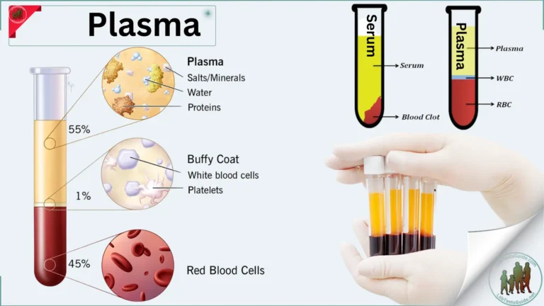 Plasma