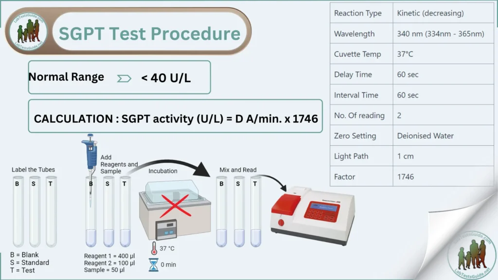 SGPT Test Procedure SGPT Test Procedure