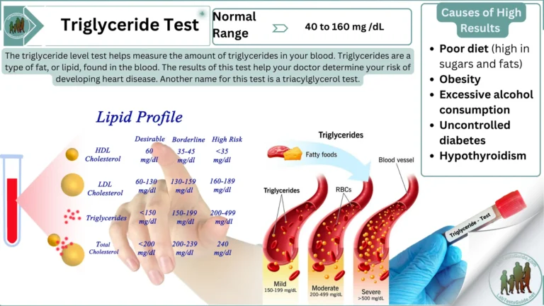 Triglyceride Test