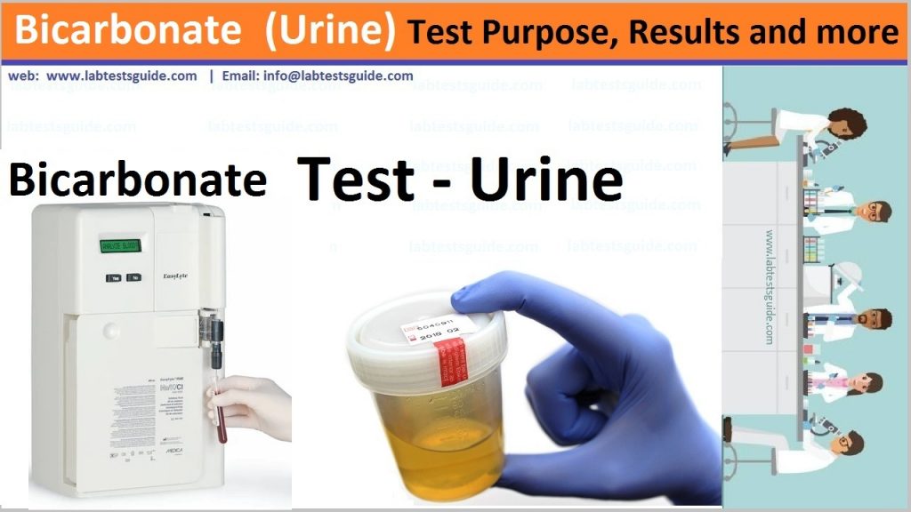 Bicarbonate in Urine