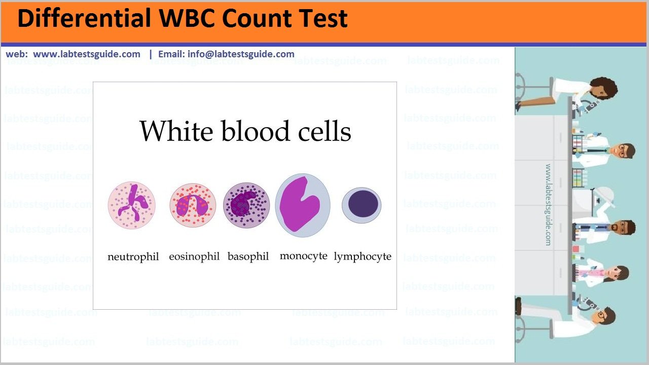 Differential WBC Count Test