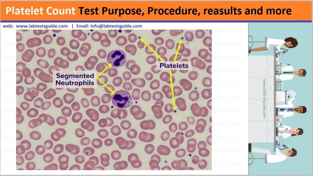 Platelet Count In Human Blood Is
