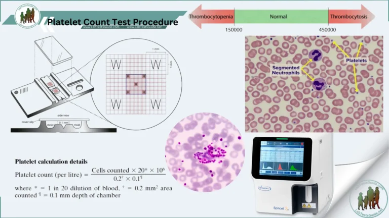 Platelet Count Test Procedure