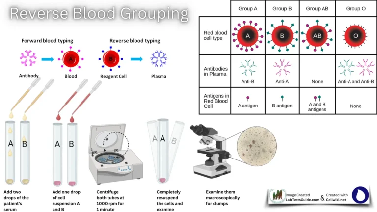 Reverse Blood Grouping
