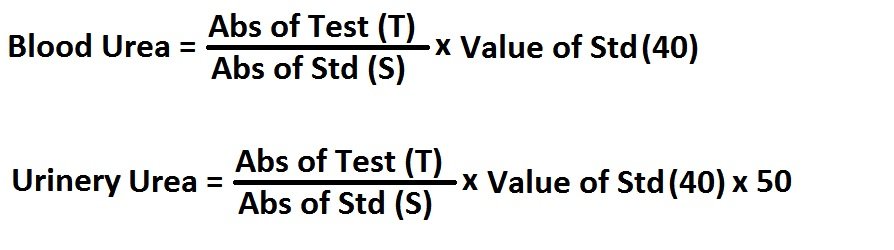 Urea Test Procedure Urea Calculation