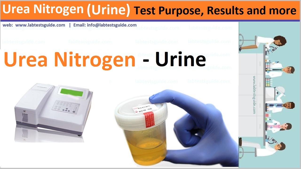 Urea Nitrogen (urine)