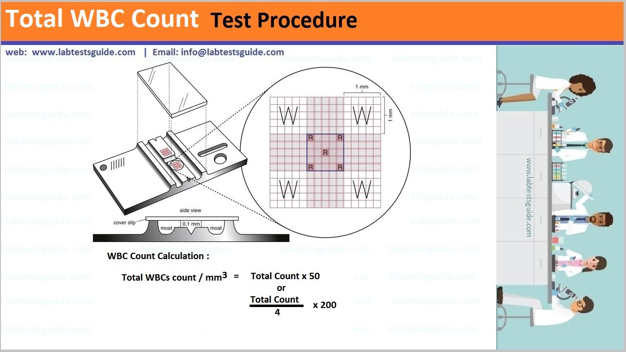 Total WBC Count Test