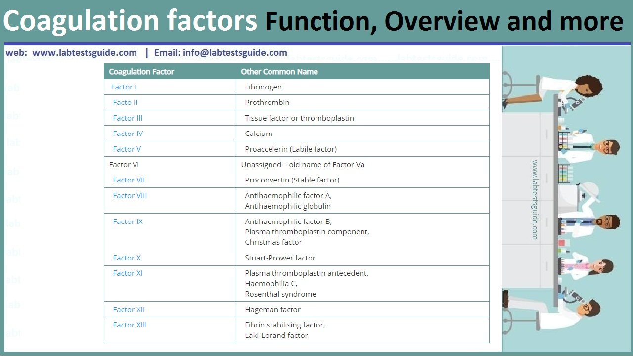 Coagulation factors Clotting Factors