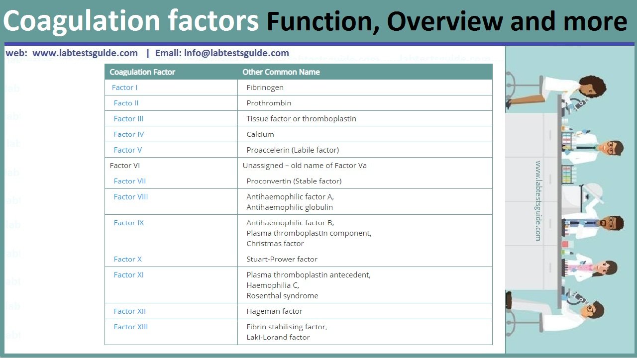 Clotting Factors