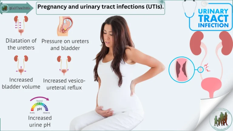 Pregnancy and urinary tract infections (UTIs).