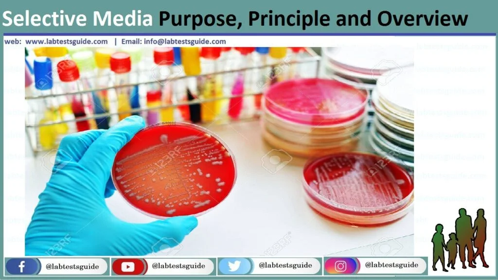 Selective Culture Media