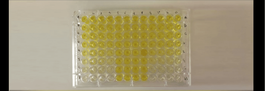 Enzyme-Linked Immunosorbent Assay (ELISA) Enzyme-Linked Immunosorbent Assay (ELISA) - ELISA (enzyme-linked immunosorbent assay) is a plaque-based assay technique designed to detect and quantify substances such as peptides, proteins, antibodies, and hormones.