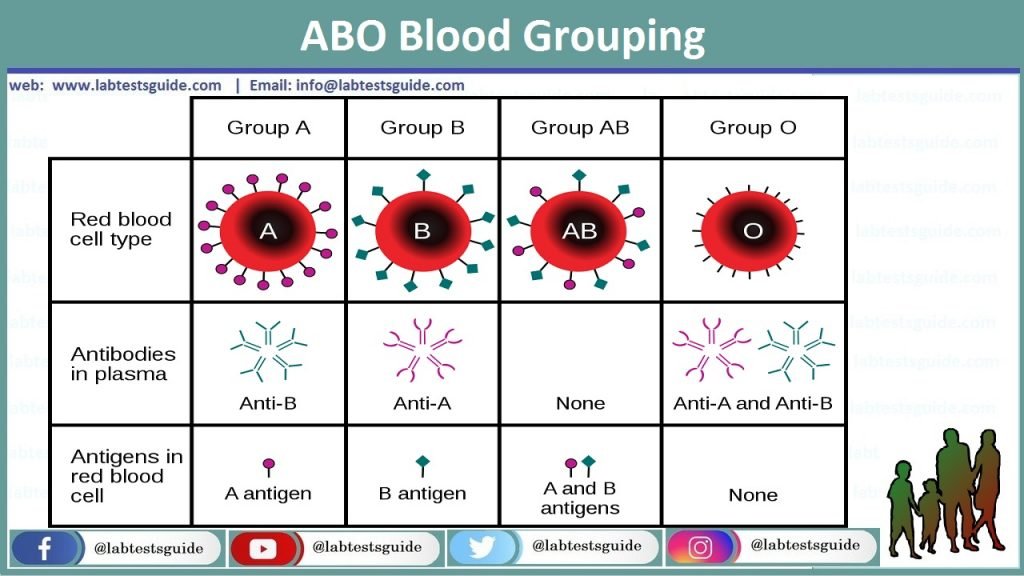 ABO Grouping Lab Tests Guide abo-grouping-lab-tests-guide