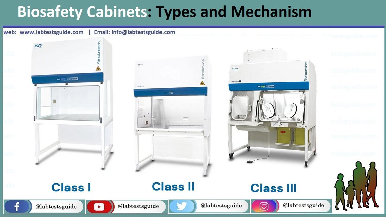 Biosafety Cabinets: Types & Mechanism