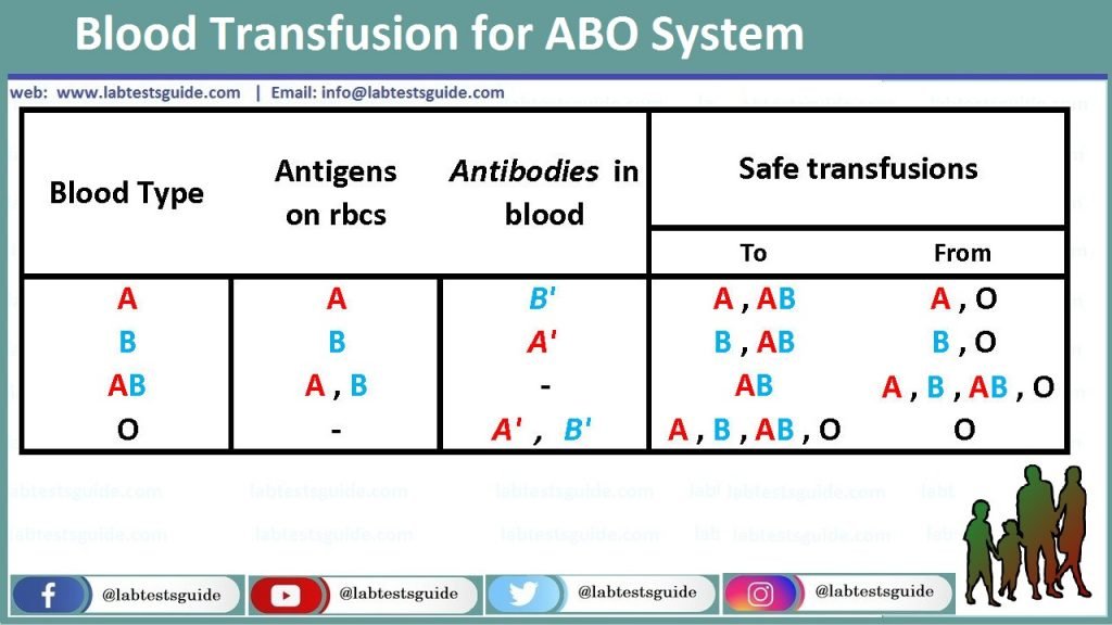 ABO Grouping ABO Grouping - ABO grouping is a test performed to determine an individual's blood type. It is based on the premise that individuals have antigens on their red blood cells (RBCs) that correspond to the four main blood groups: A, B, O, and AB.