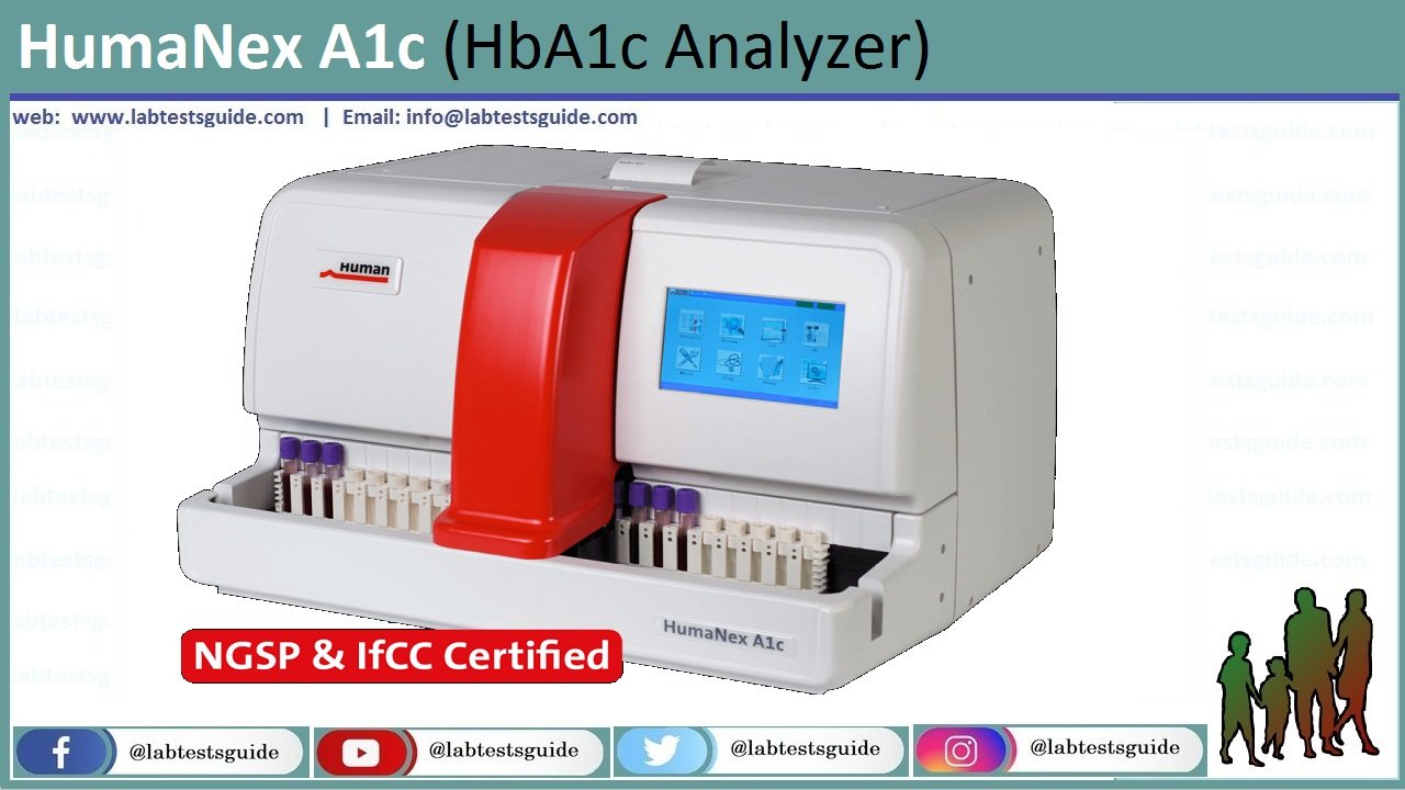 HumaNex A1c