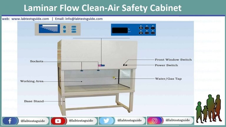 biosafety cabinet vs laminar flow hood biosafety cabinet vs laminar flow hood