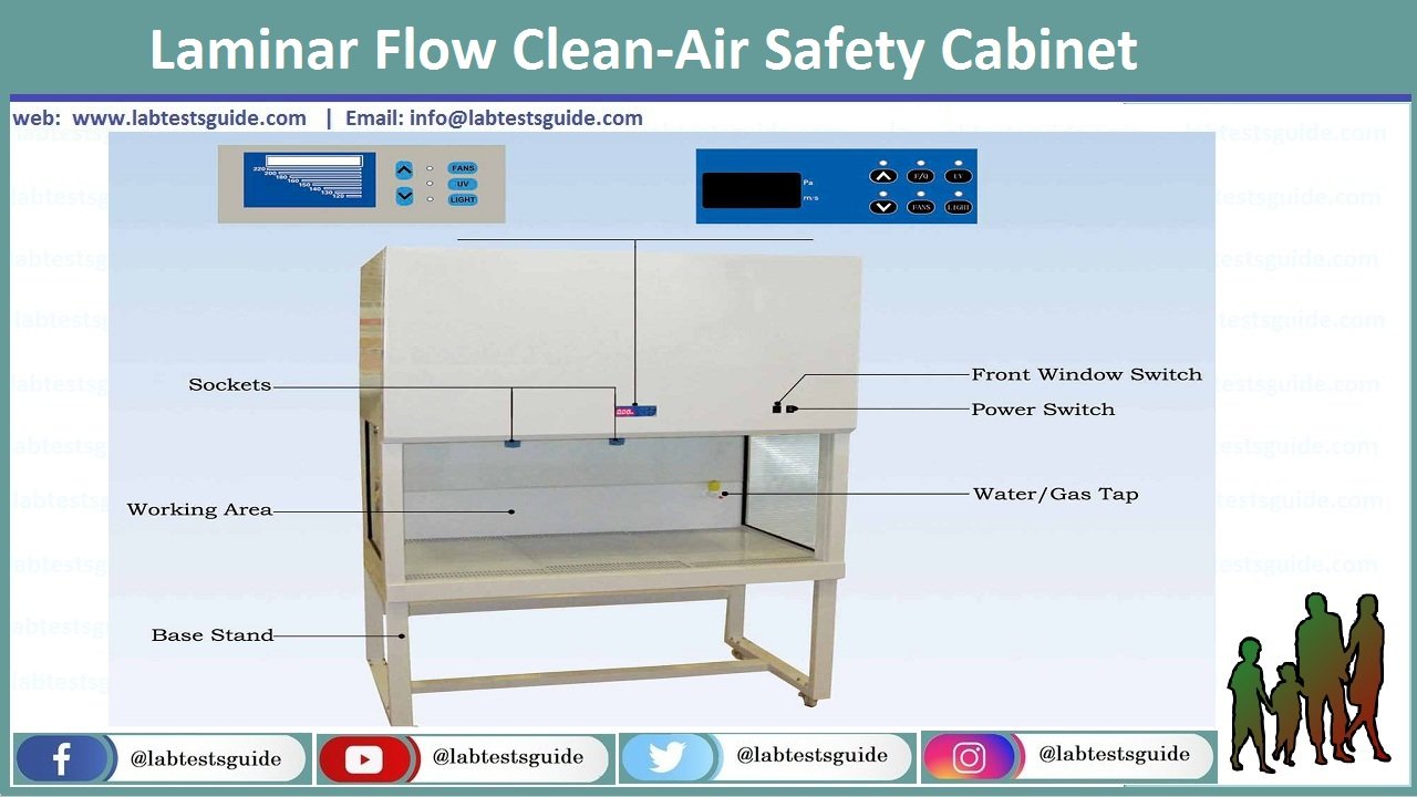 Biosafety Types and Mechanism Lab Tests Guide
