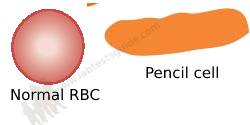 Pencil cells