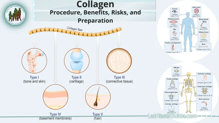 Collagen
