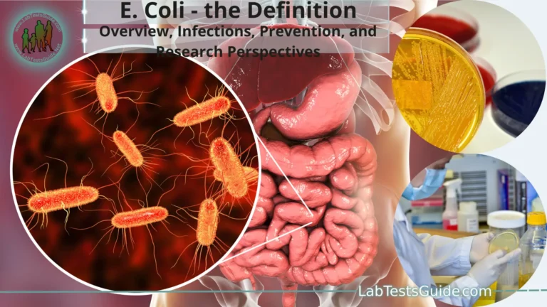 E. Coli – The Bacteria