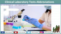 Lab Tests Abbreviations