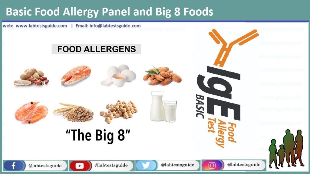 Basic Food Allergy Panel Basic Food Allergy Panel