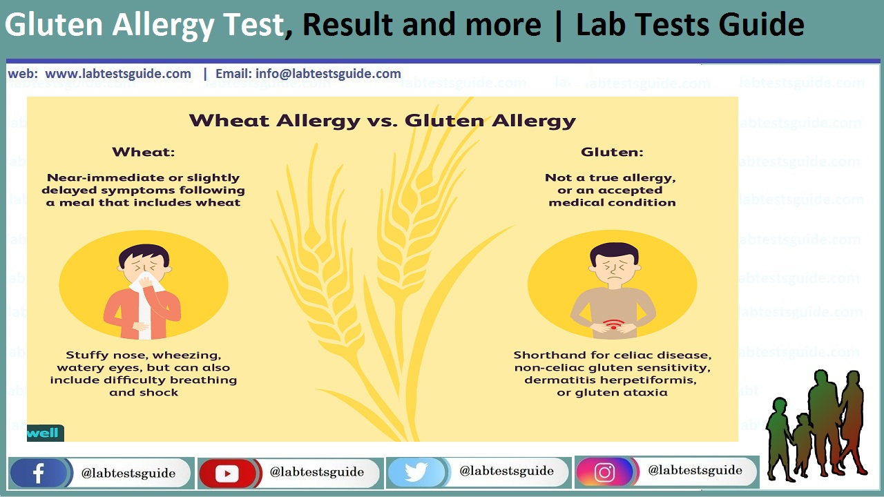 Gluten Allergy Test