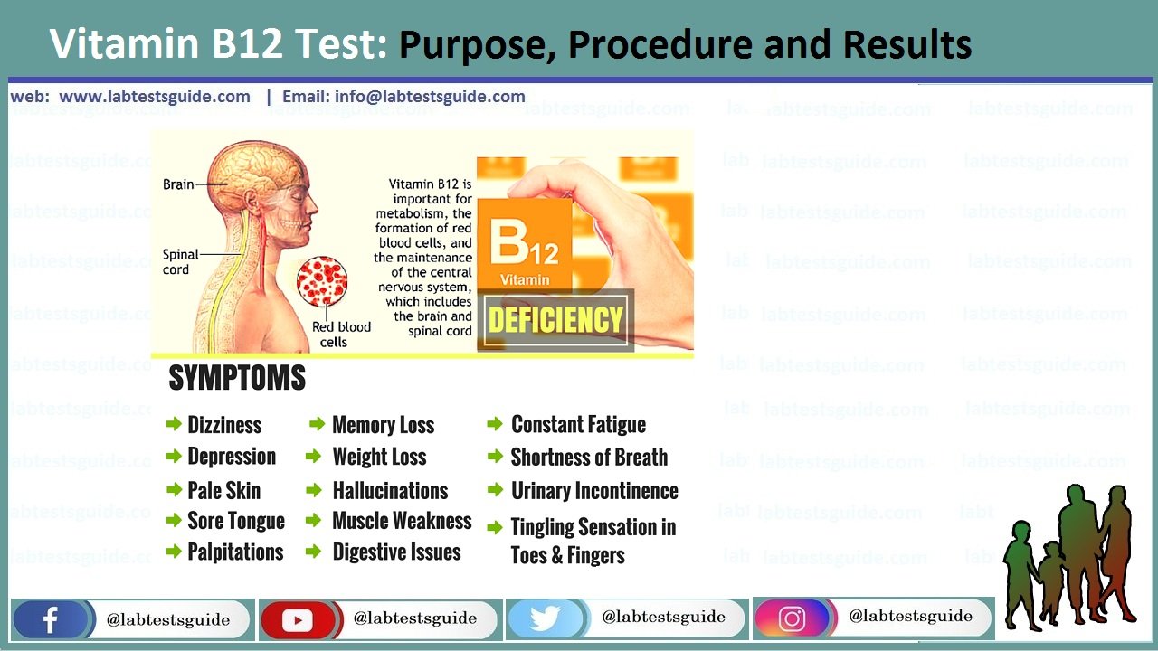 cijfer vochtigheid roze Vitamin B12 Test: Purpose, Procedure and Results - Lab Tests Guide