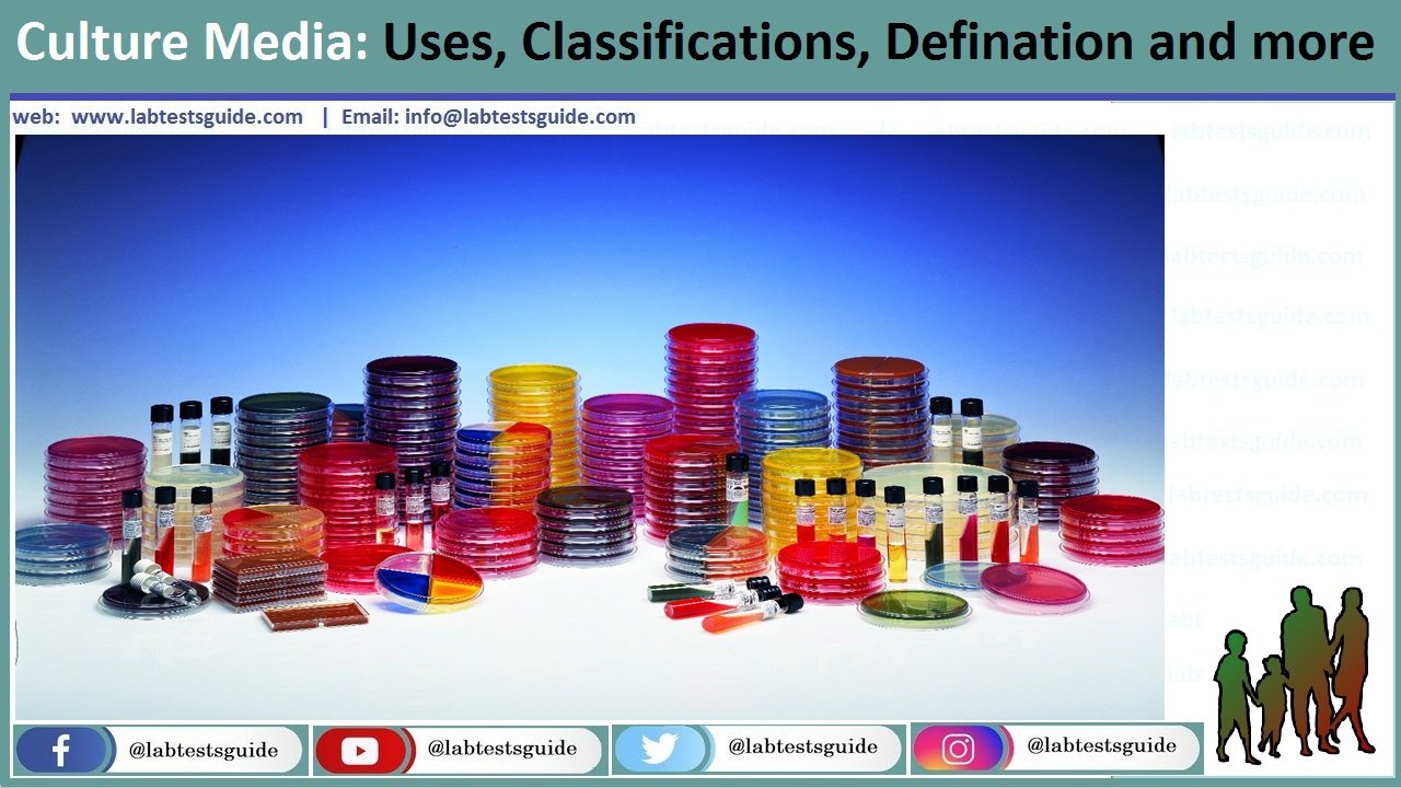 Culture Media Culture Media
