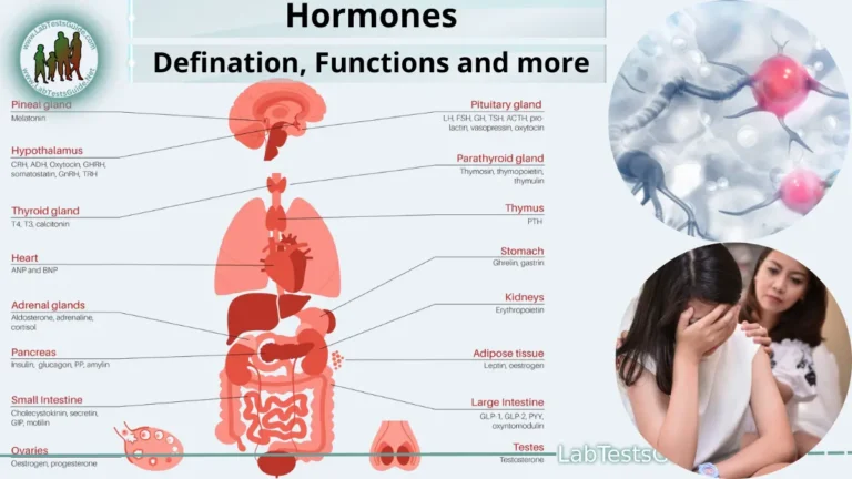 Hormones