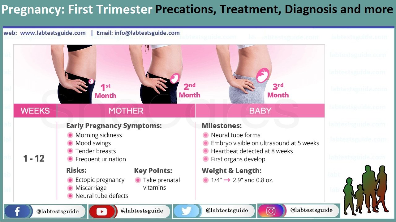 Pregnancy First Trimester Precations Treatment Diagnosis And More Lab Tests Guide