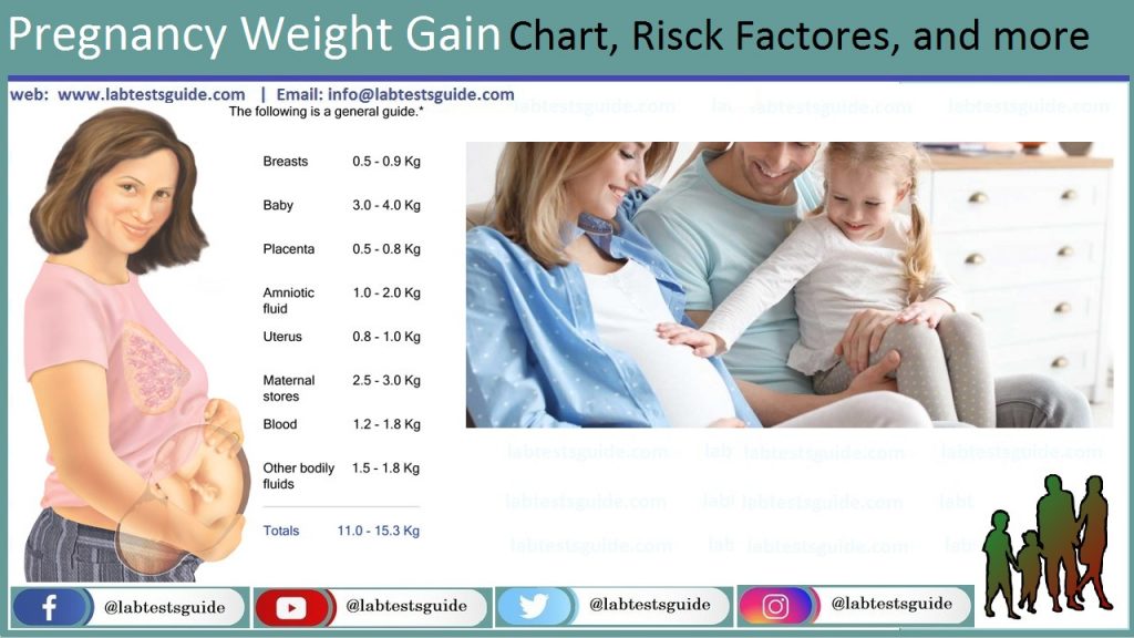 Pregnancy Weight Gain Lab Tests Guide