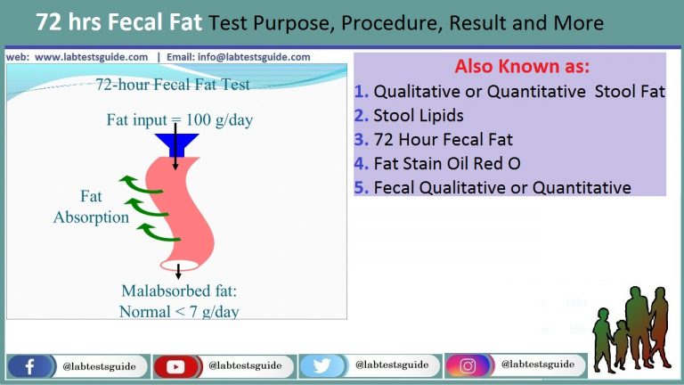Qualitative or Quantitative Stool Fat
