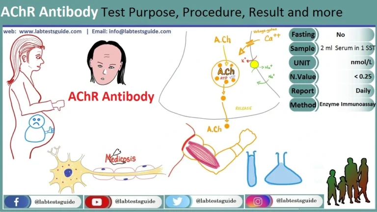 AChR Antibody